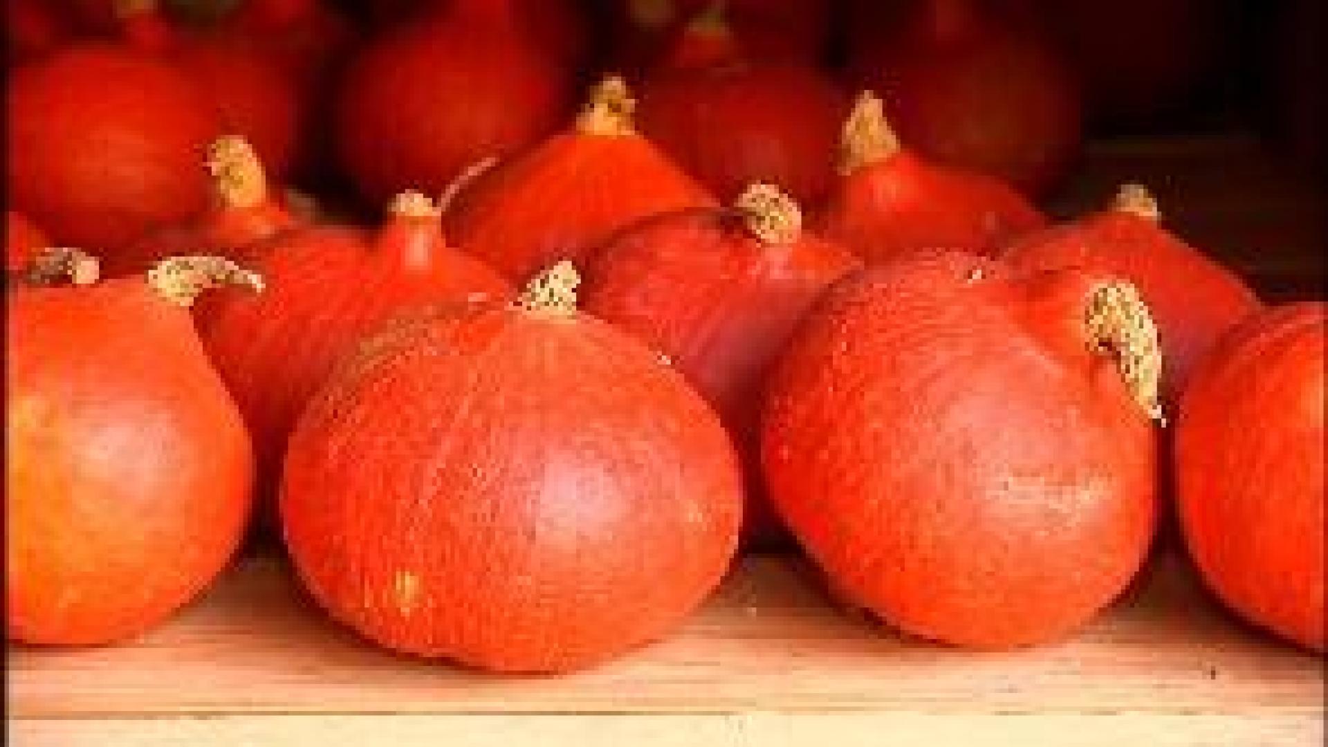 Saveurs de chez nous 10 décembre 2014