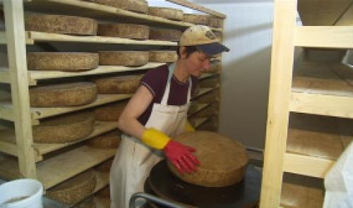 Saveurs de chez nous: Le fromage Sarté