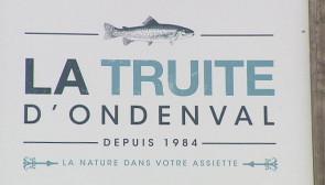 Saveurs de chez nous : La Truite d'Ondenval