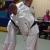 Open de judo de Visé