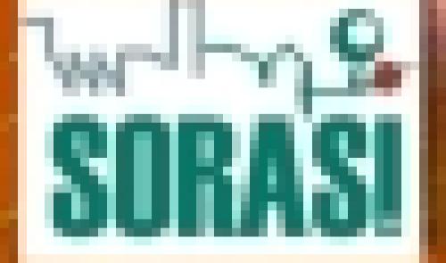 Bilan 2006 de la SORASI