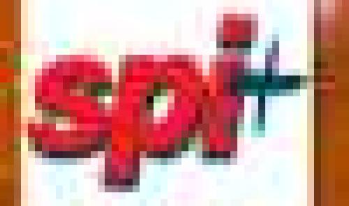 SPI+: 2006, année remarquable