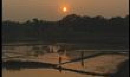 Trois liégeoises au Bangladesh