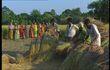 Bangladesh : 3 jeunes ambassadrices