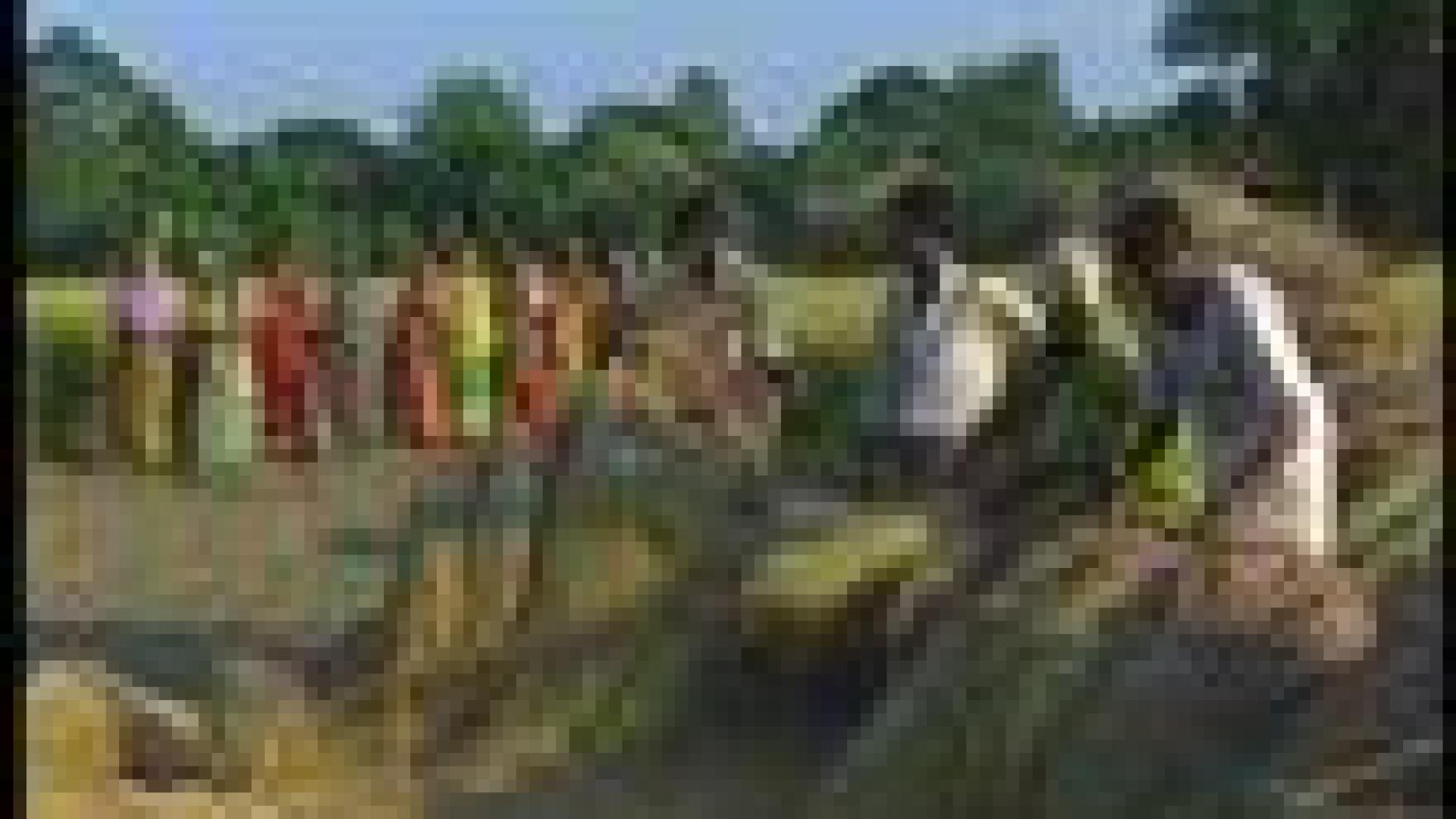 Bangladesh : 3 jeunes ambassadrices