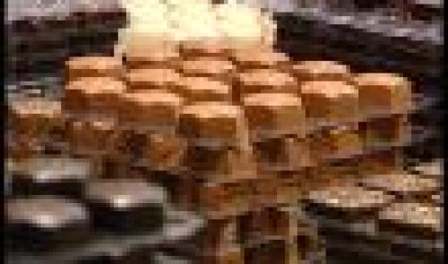 Balade autour du chocolat