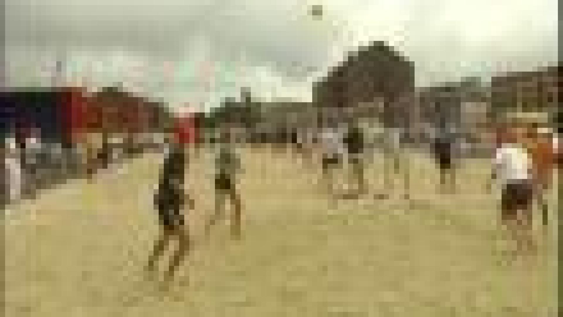 Beach Volley à Micheroux