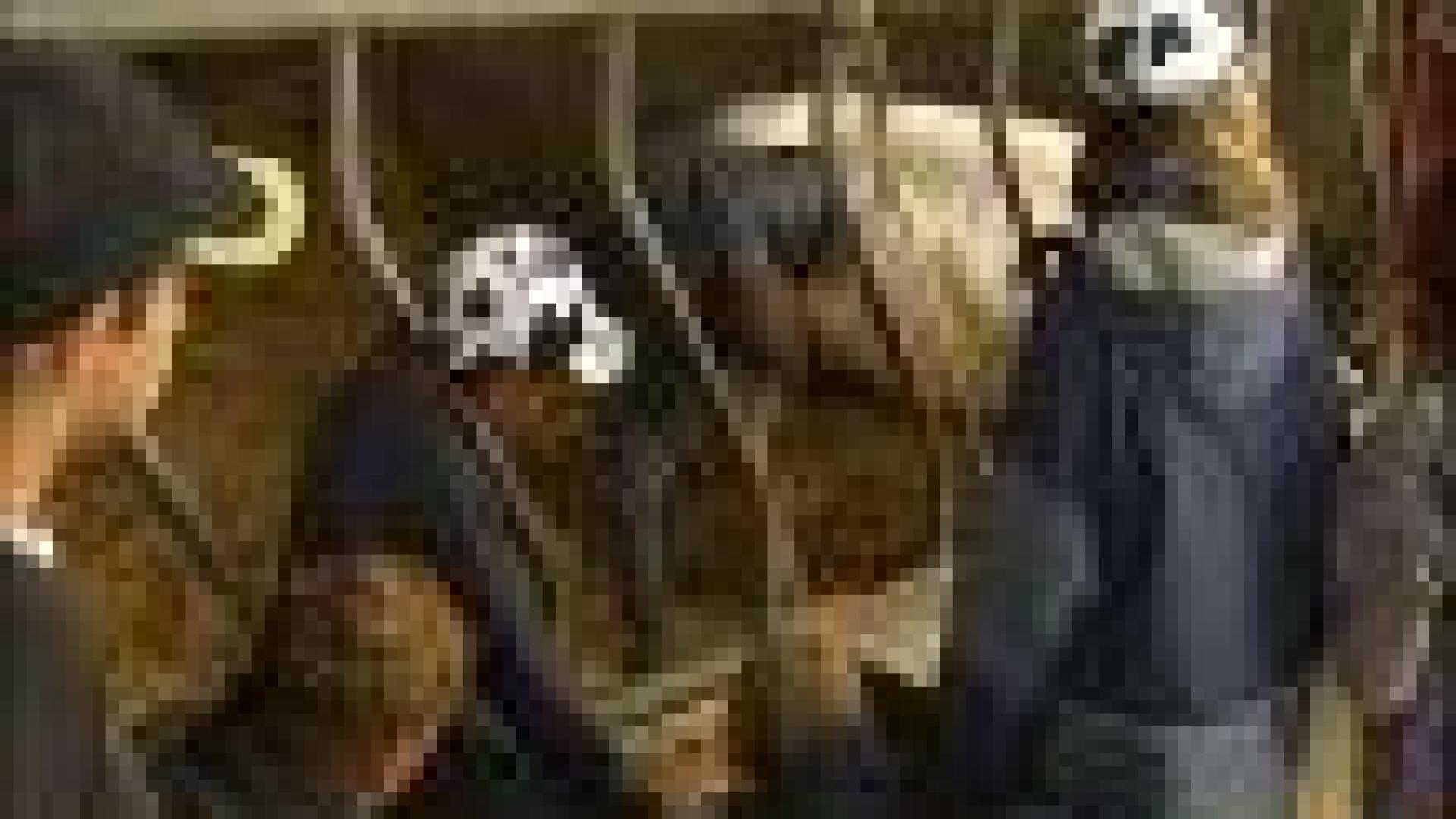 Liège : ferme en ville