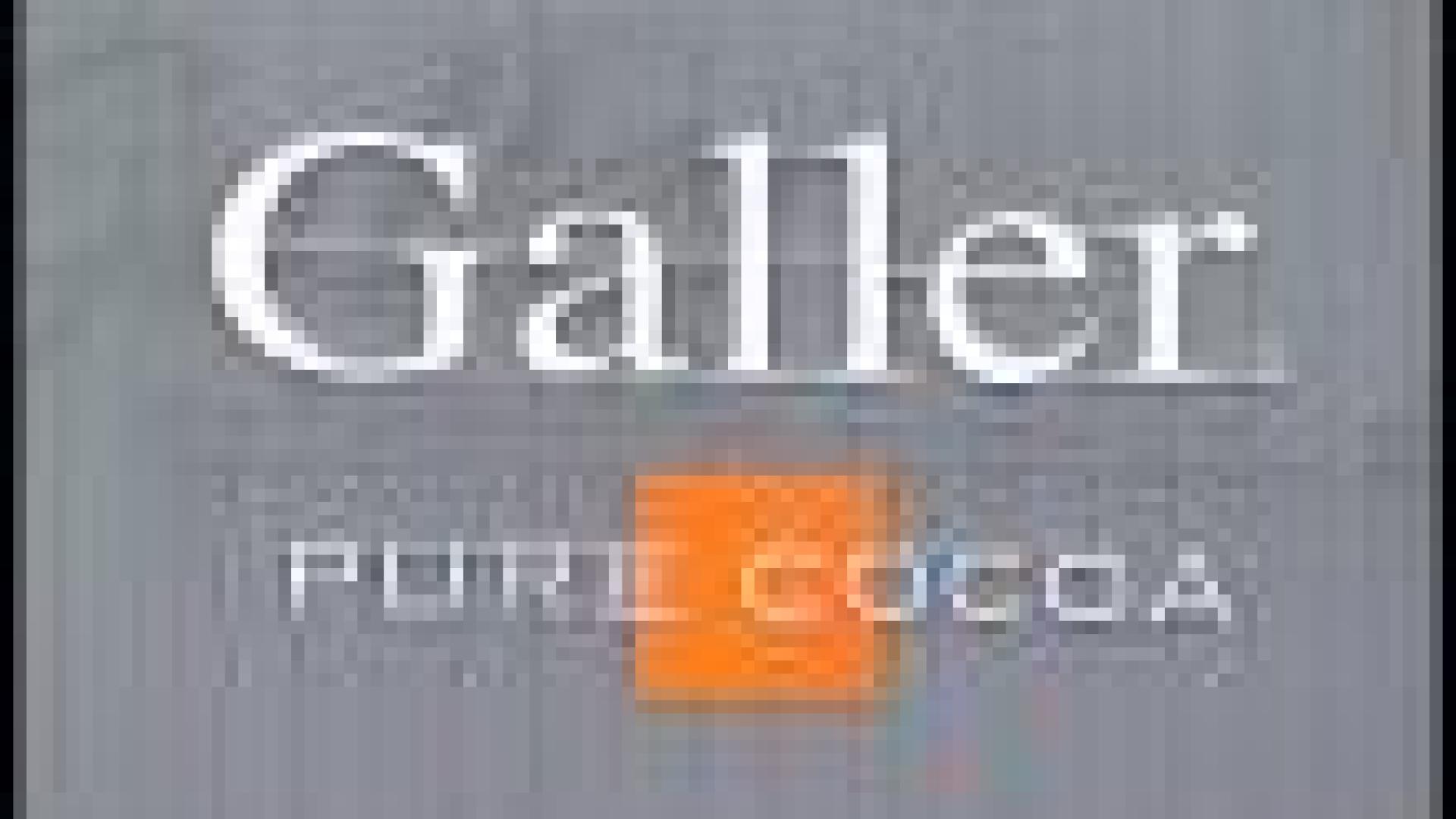 Galler va investir
