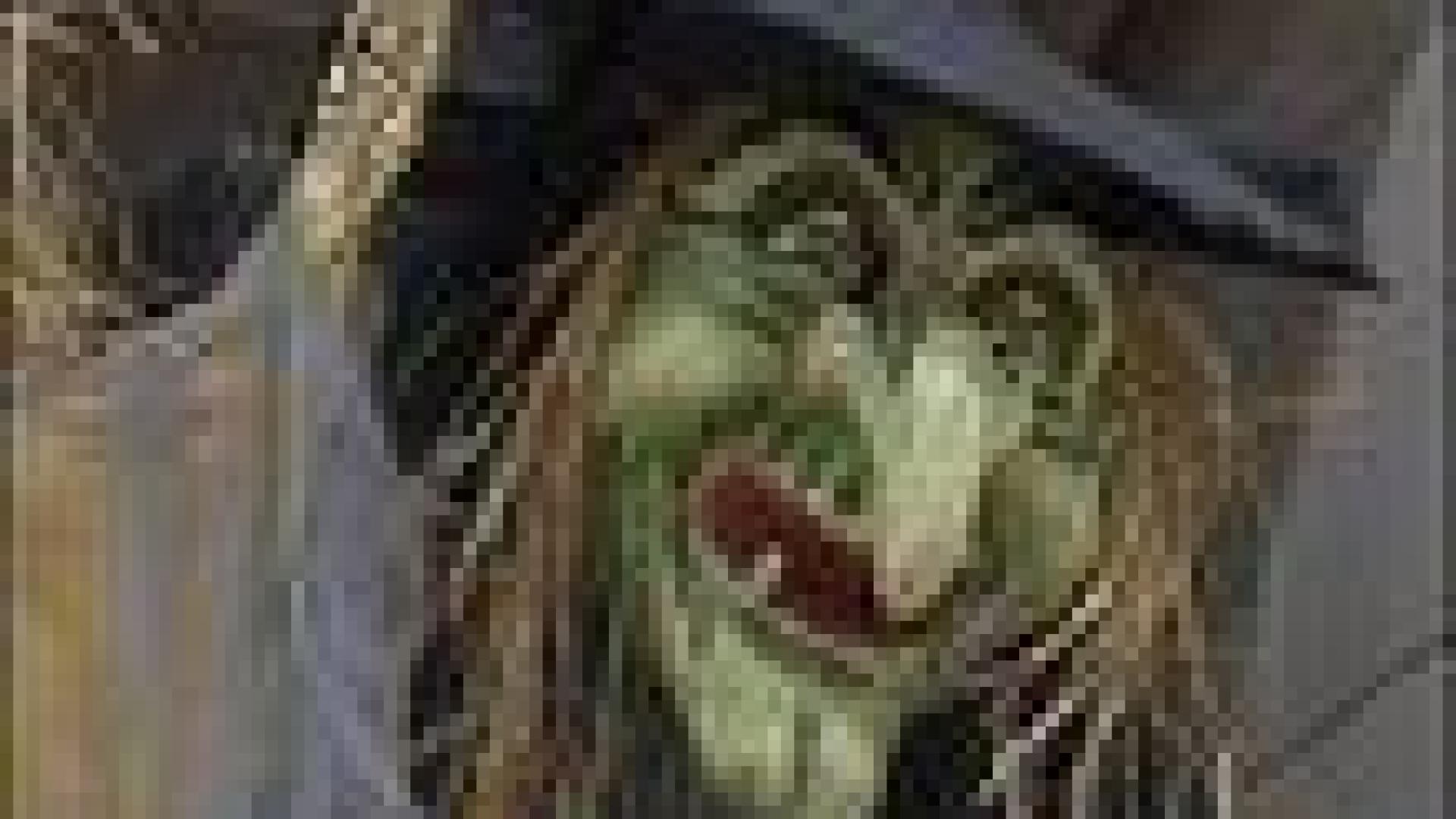 Préparation de la fête d'Halloween