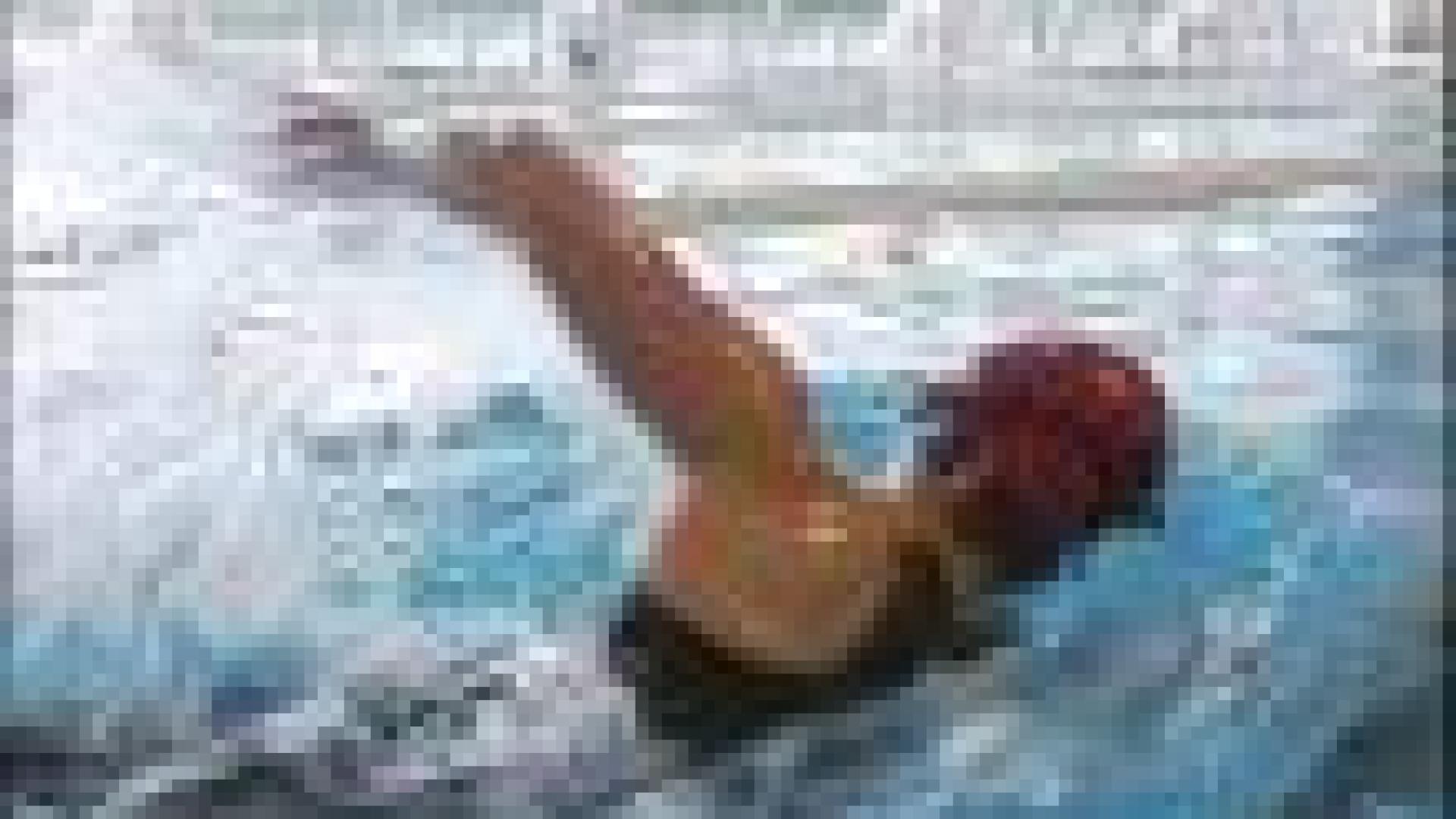 Natation: neuf liégeois aux Championnats d'Europe