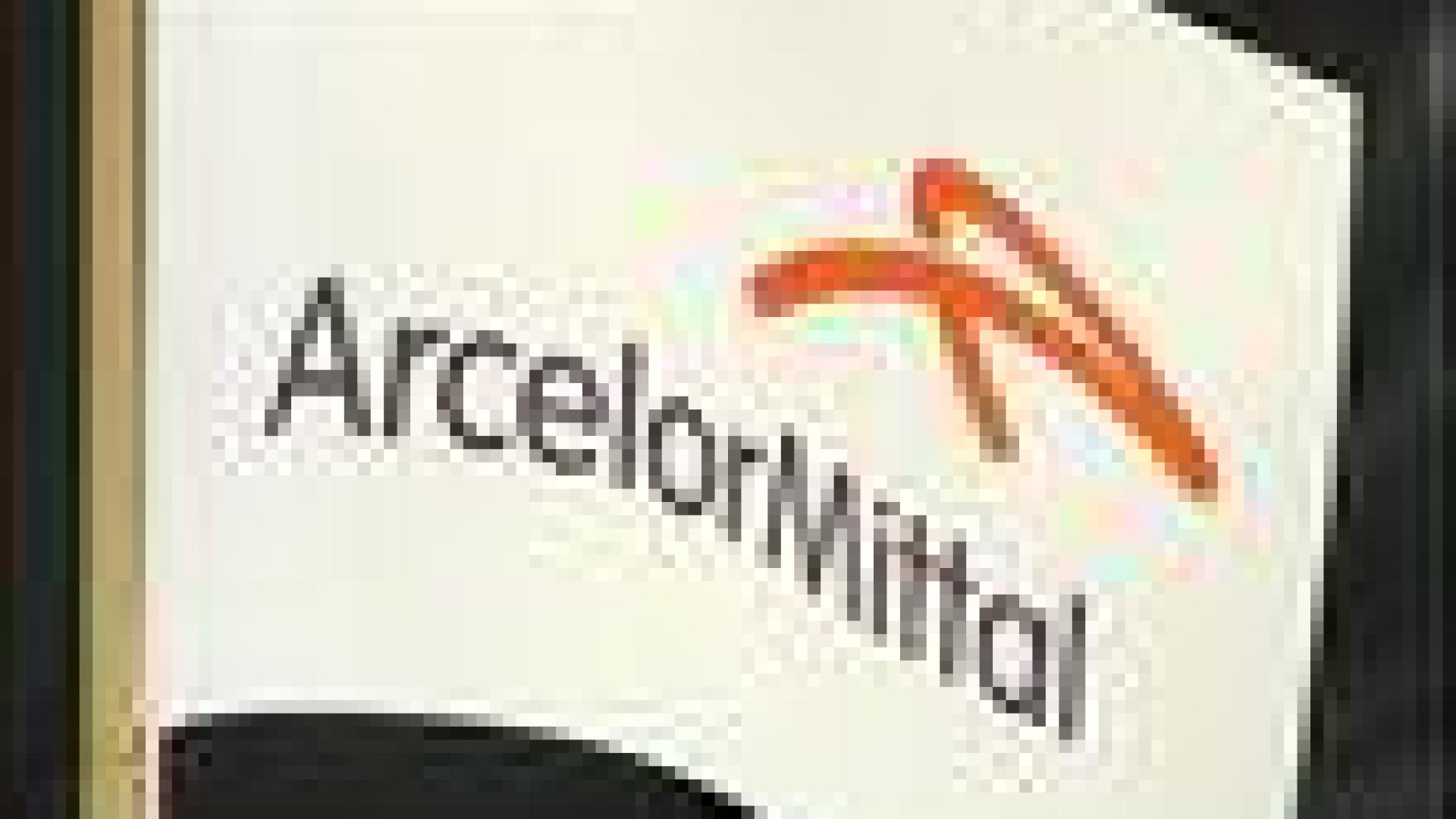 Arcelor: Plan de départ volontaire