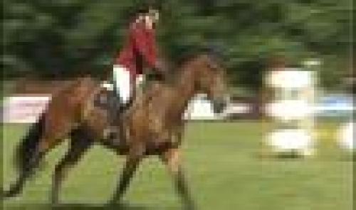 Jumping de Chaudfontaine