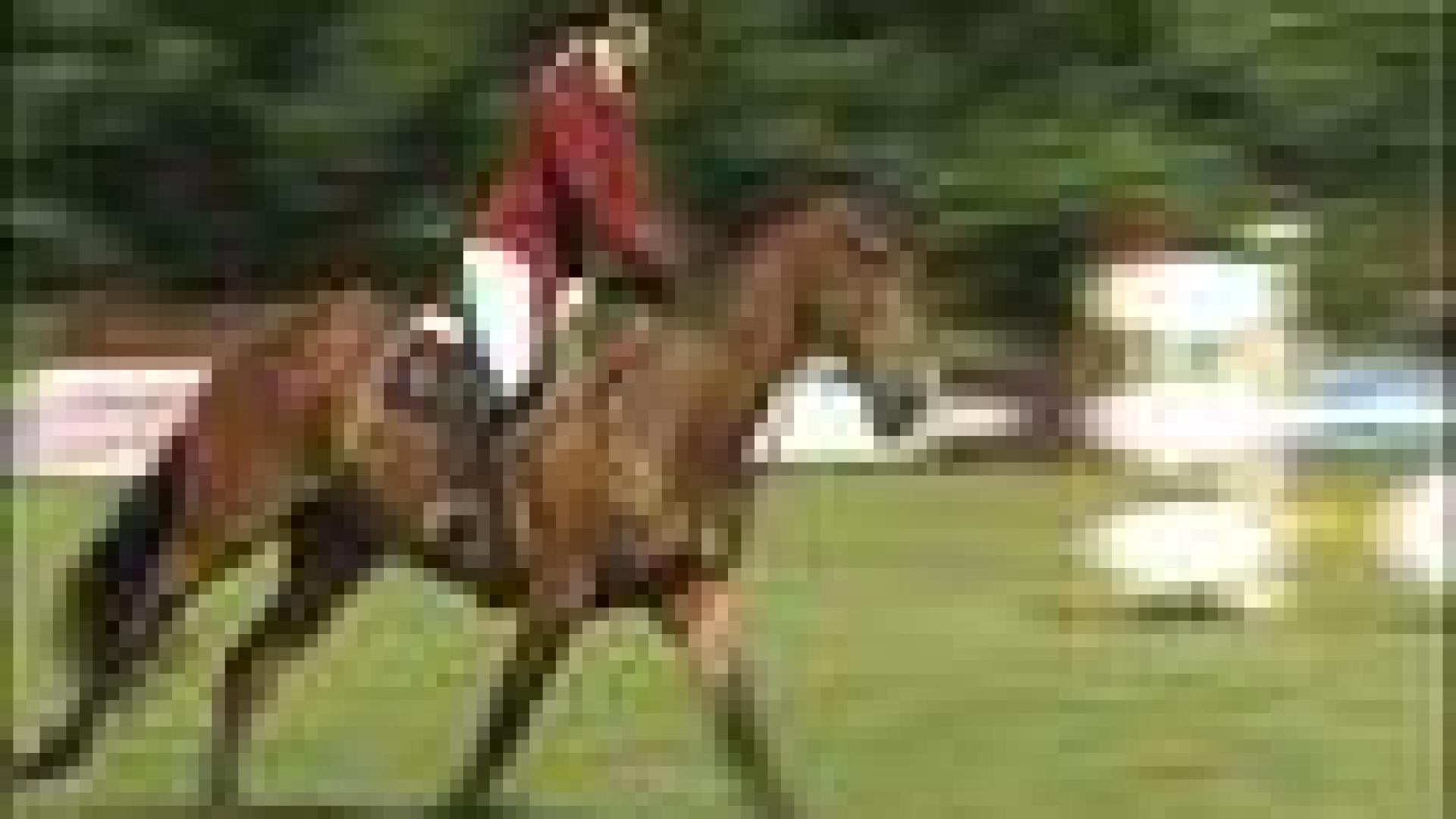 Jumping de Chaudfontaine