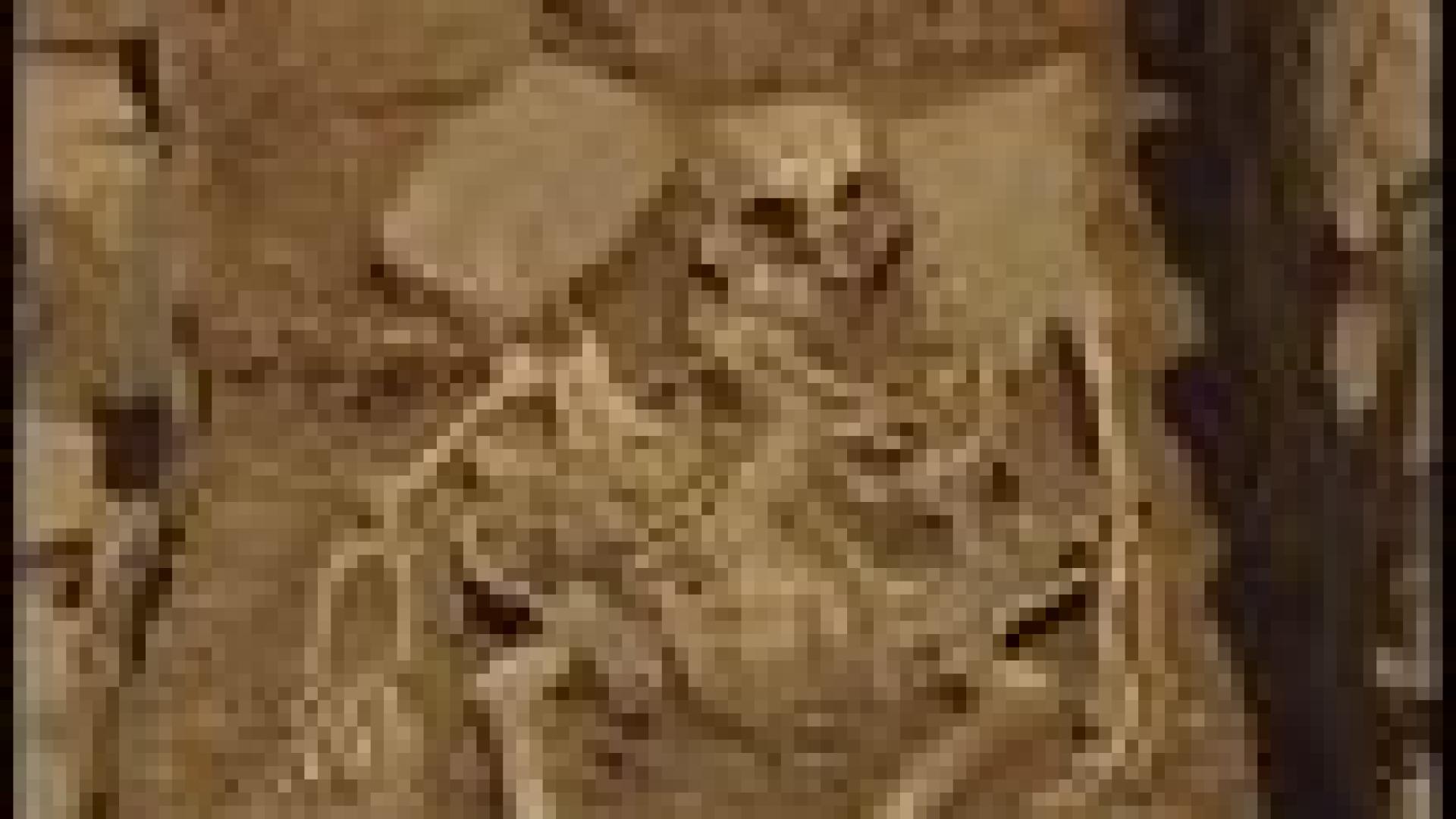Amay : cimetière mérovingien