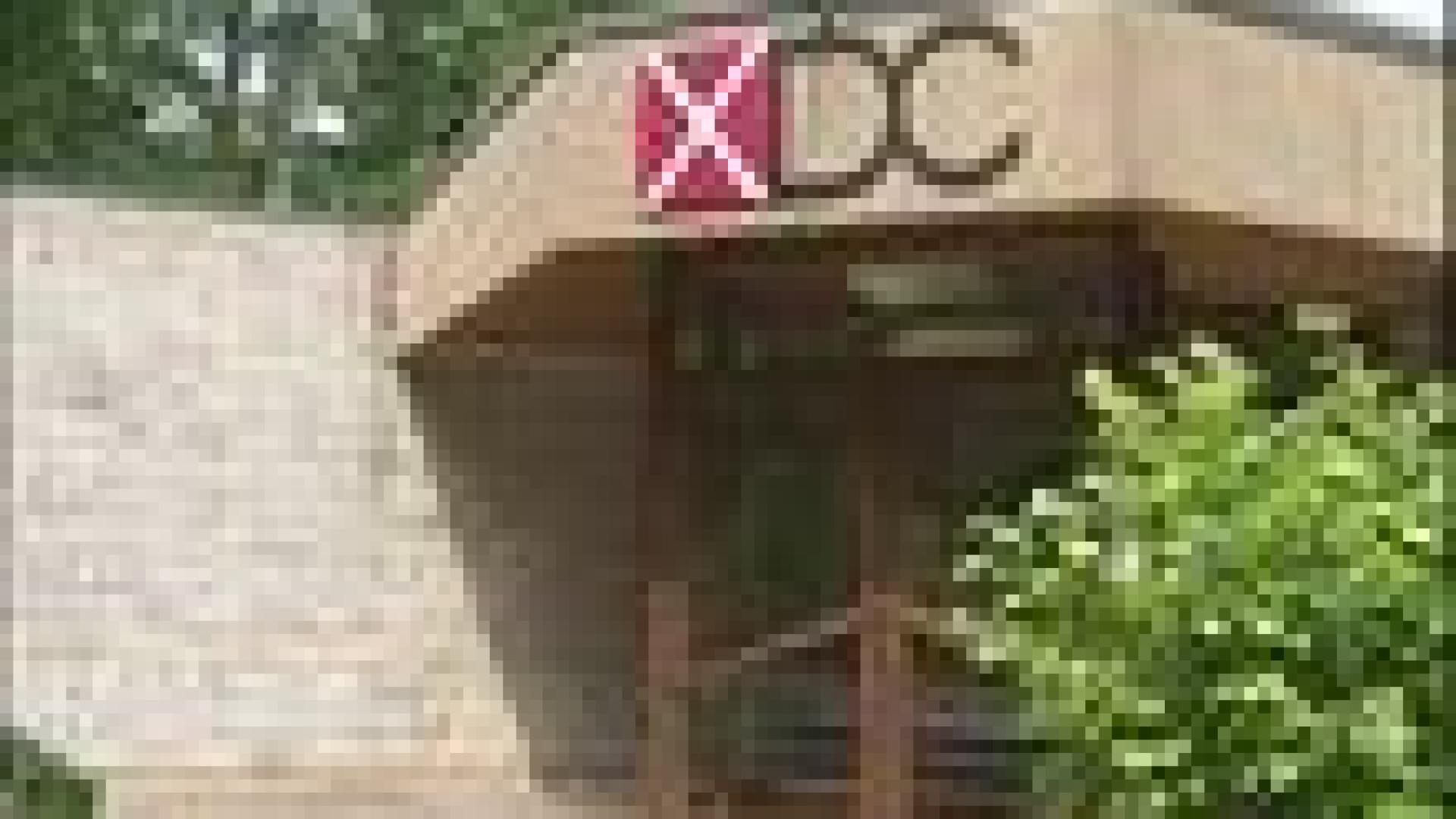 XDC va équiper en numérique 8000 salles européennes