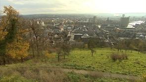 Le  vin de Liège  sur les coteaux de la Citadelle