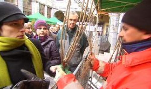 Journée de l'arbre à Liège