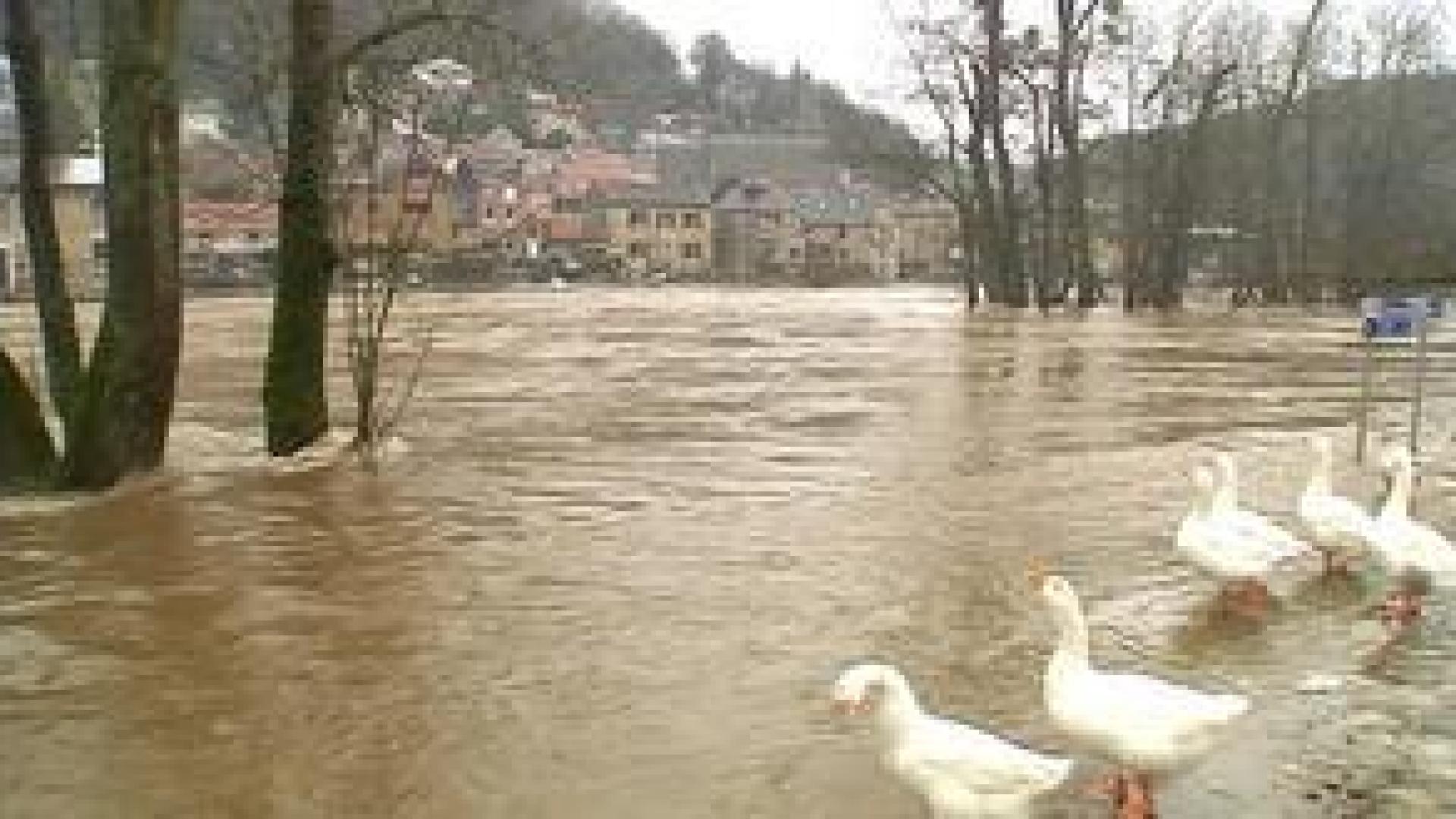Ourthe : situation critique à Esneux