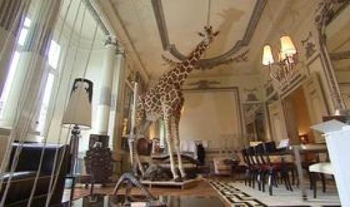 Exposition de taxidermie à la galerie d'art Radeski