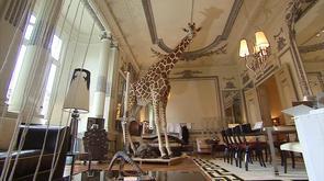 Exposition de taxidermie à la galerie d'art Radeski