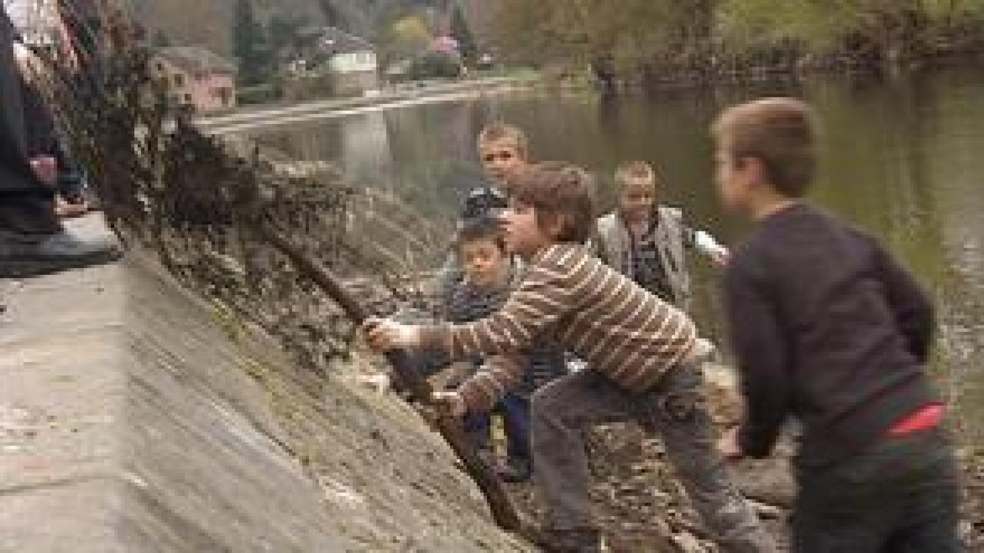 Aywaille : les écoliers nettoient les rives de l'Amblève