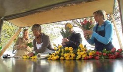 Fléron : le Rotary vend des tulipes