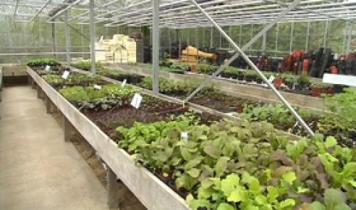 Opération  Horti découvertes 