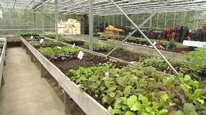 Opération  Horti découvertes 