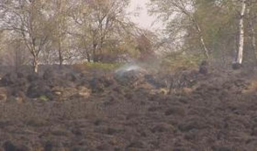Fagnes : mille hectares partis en fumée