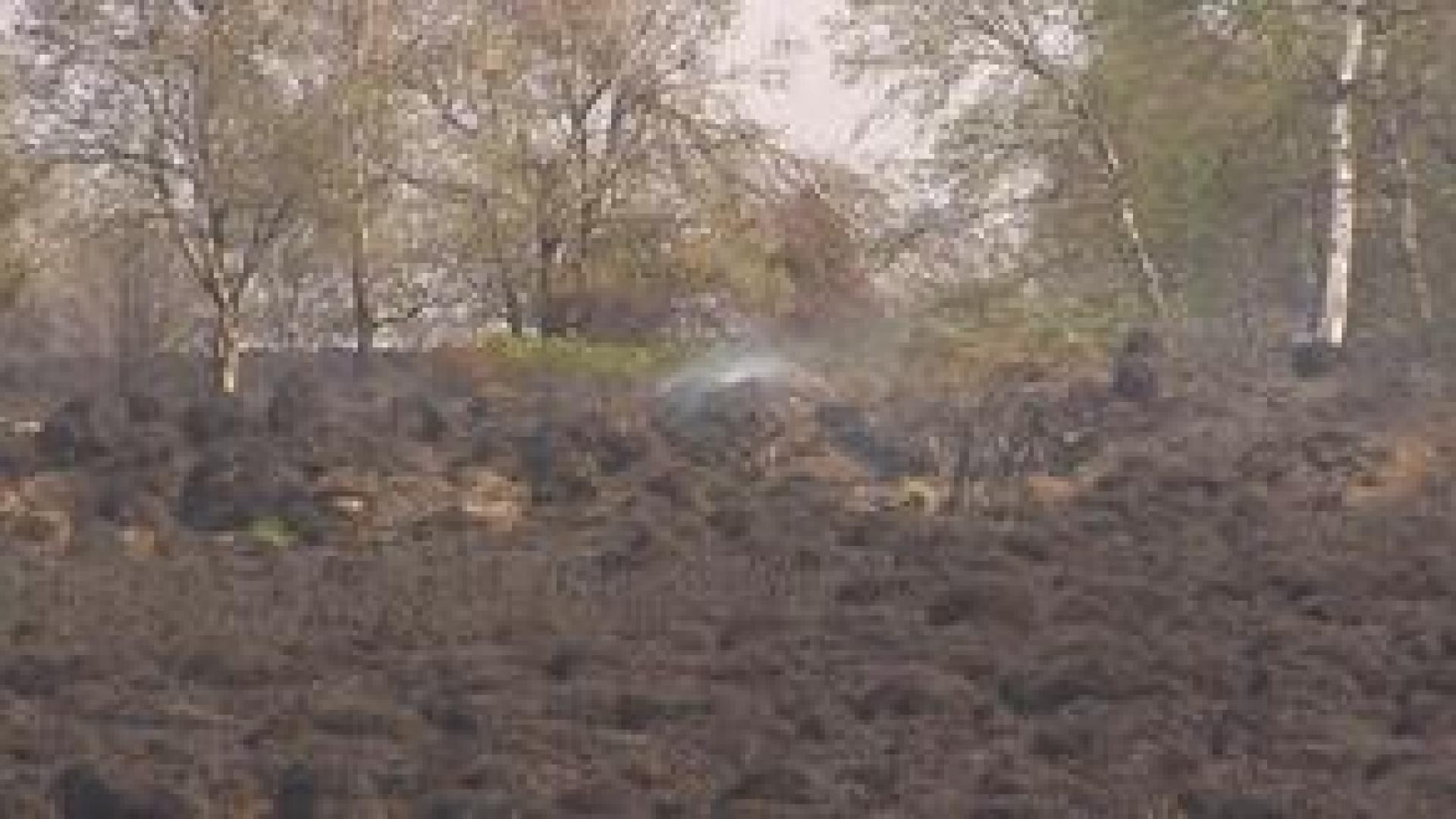Fagnes : mille hectares partis en fumée