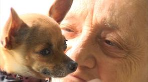 Os'mose, des chiens d'aide et d'assistance