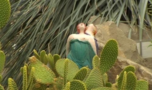 Exposition cactus à l'observatoire du monde des plantes
