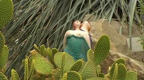 Exposition cactus à l'observatoire du monde des plantes