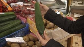 Crise du concombre
