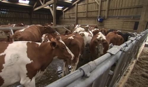 Week-enk des fermes ouvertes