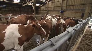 Week-enk des fermes ouvertes