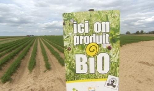 Journée interprofessionnelle autour de l'agriculture bio