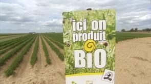 Journée interprofessionnelle autour de l'agriculture bio