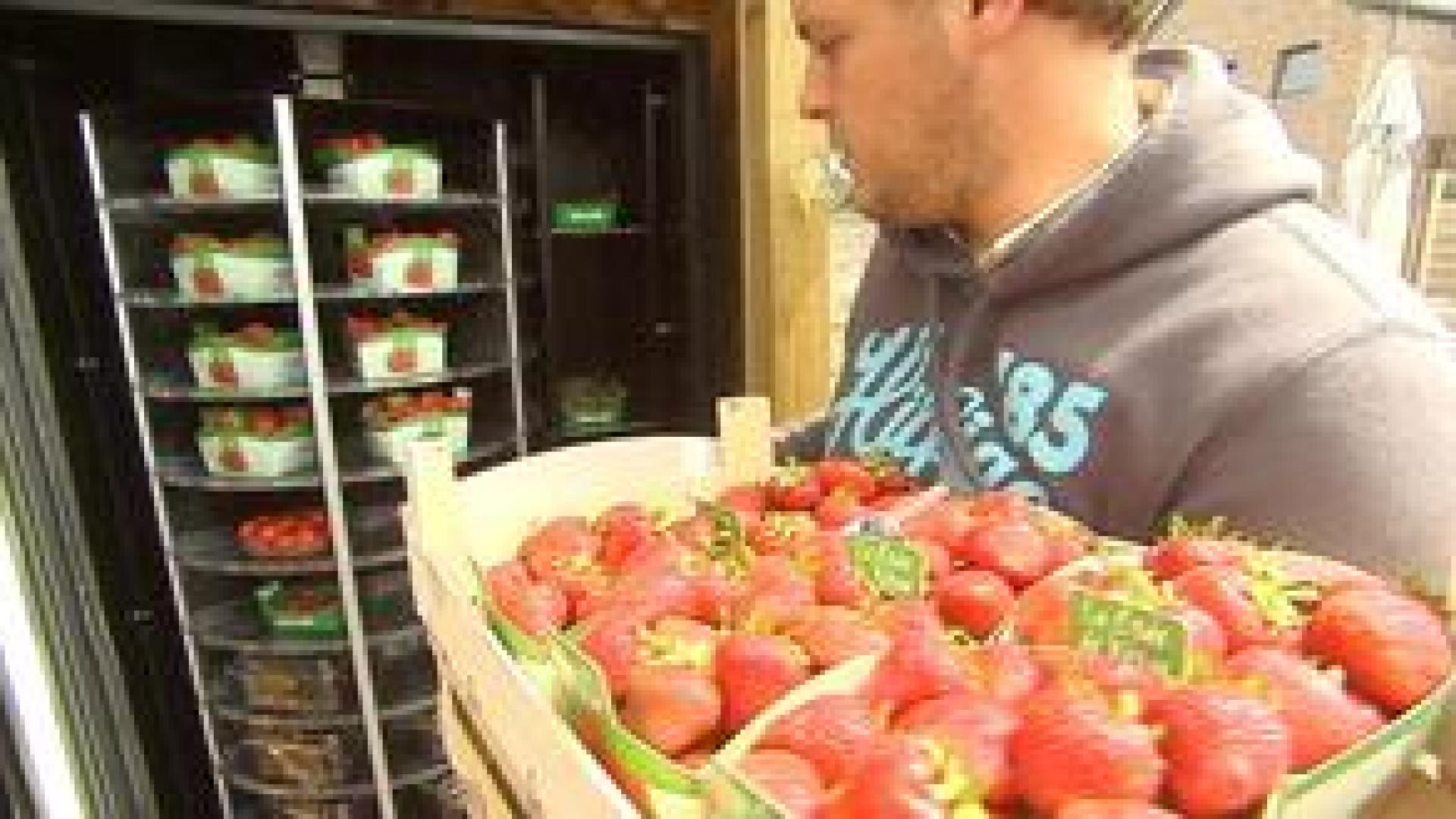 Un distributeur automatique de fruits et légumes frais