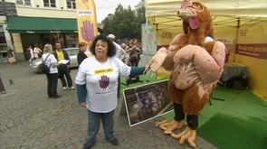 GaÍ¯a sensibilise au sort des poules