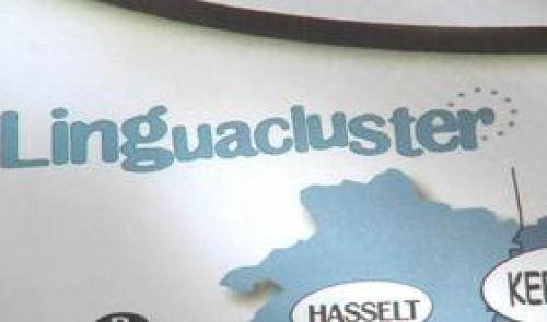 Bilan du  Lingua Cluster 