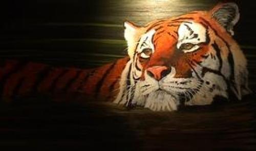 Fléron : exposition d'artistes de chez nous et d'ailleurs