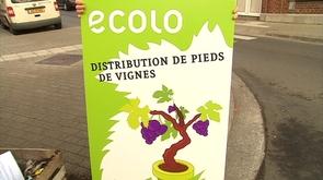 Journée de l'arbre à Seraing
