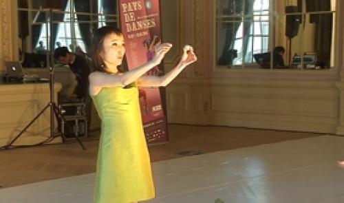 Festival  Pays de Danses 