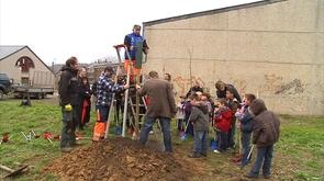 Plantation de 500 poiriers dans le plateau de Herve