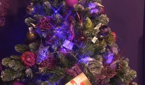 Choisir un sapin de Noël