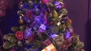 Choisir un sapin de Noël
