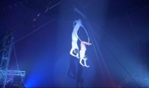 European Circus Festival à Liège