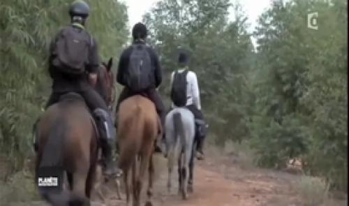 Cheval de l'espoir